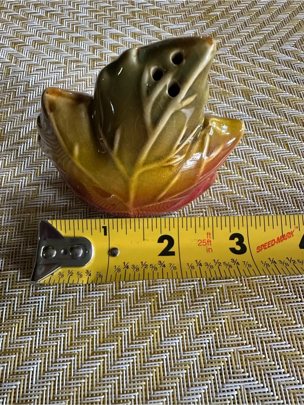 Autumn Leaf Ceramic Salt and Pepper Shakers - Multi colored perfect for Fall